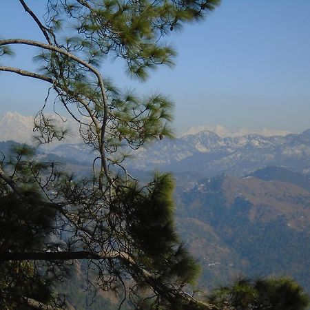 New Dolma Hotel Almora Exterior foto