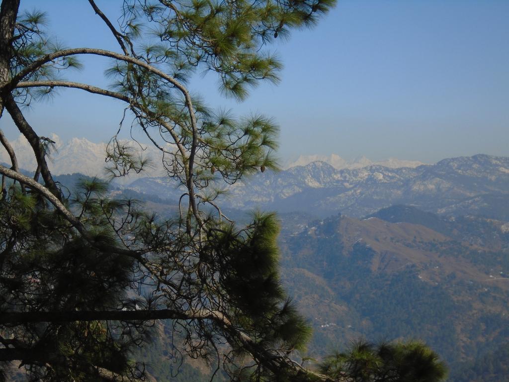 New Dolma Hotel Almora Exterior foto